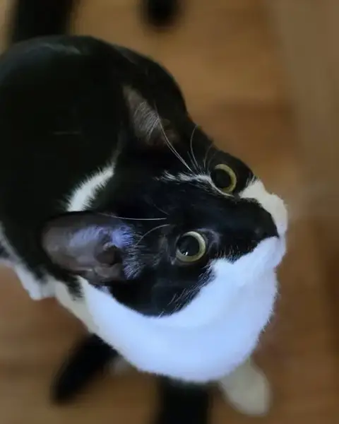 Swirl