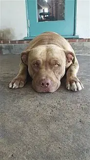 Mason photo 3