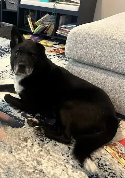 Kristoff