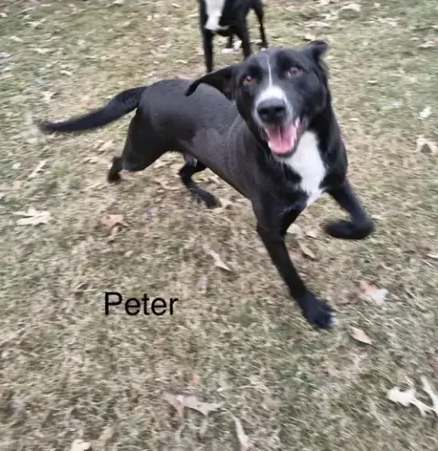 Peter