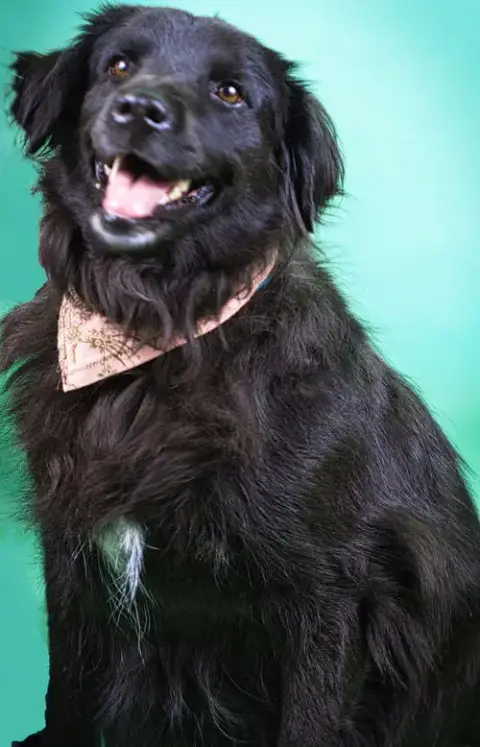 Luna photo 2