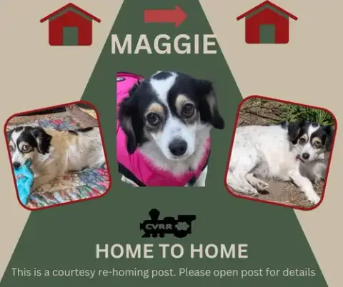 *Maggie* Home To Home