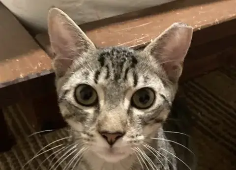 Russell