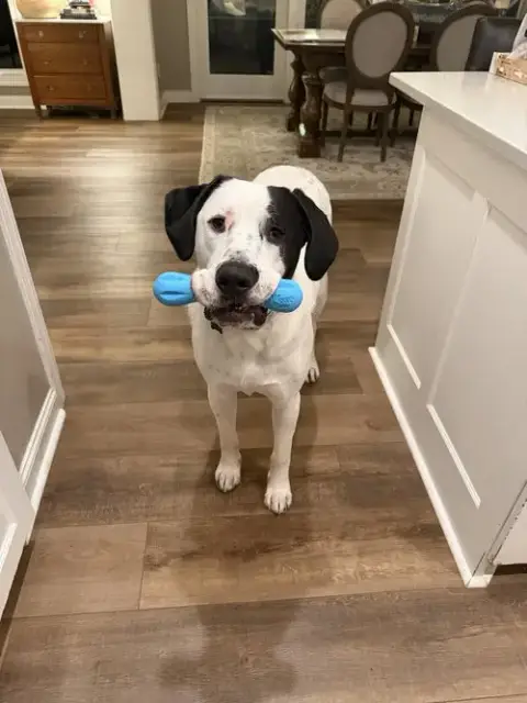 Finn photo 3