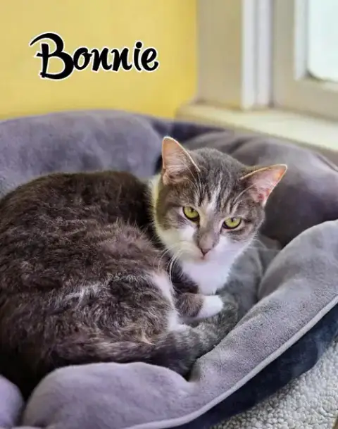 Bonnie photo 4