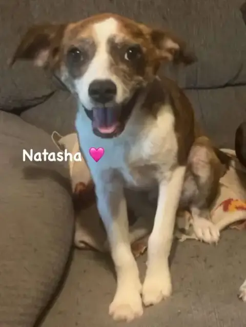 Natasha