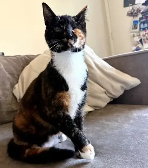 Ella photo 2