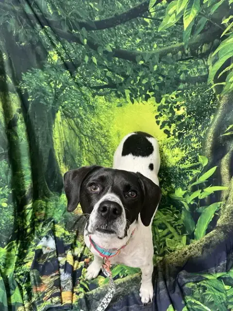 Addie photo 2