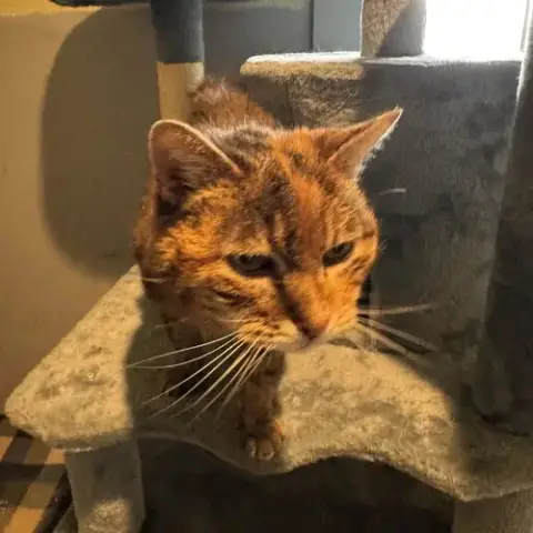Betty