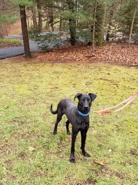 Buddy photo 4