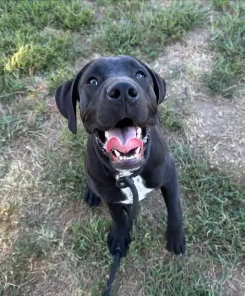 Kramer