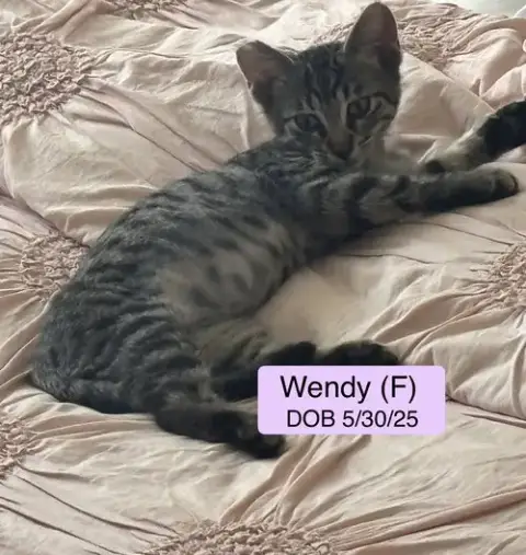 Wendy photo 3