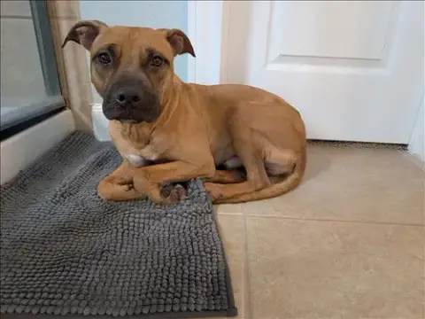 Winston