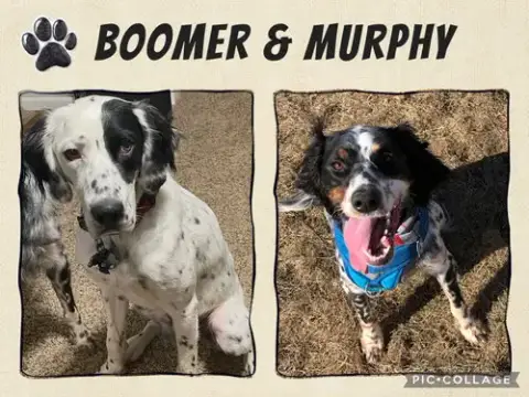 Boomer & Murphy