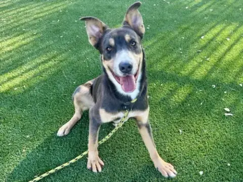 Max