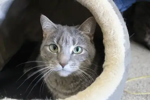Shellie photo 2