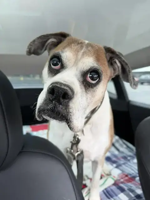 Miss Sammy