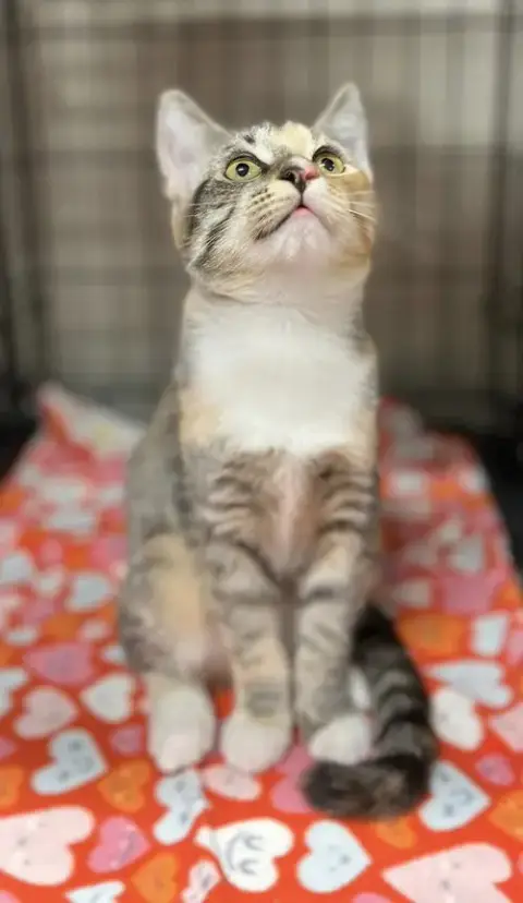 Tina photo 3