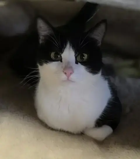 Eleanor