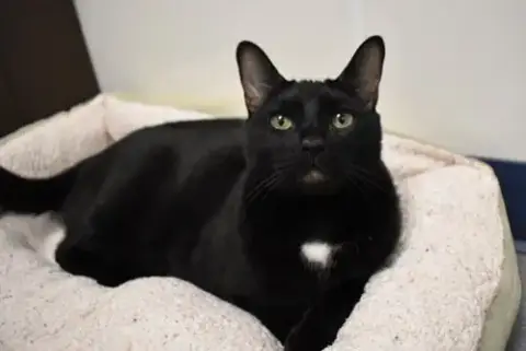 Gunther