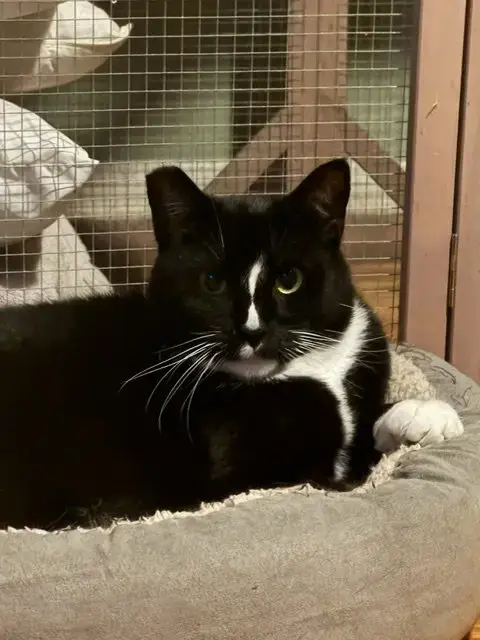 Keena photo 2