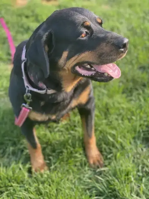 Mabel photo 3