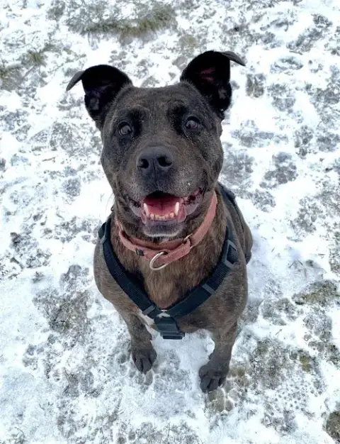 Holly photo 4
