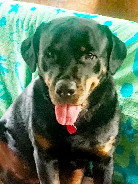 Jada photo 2