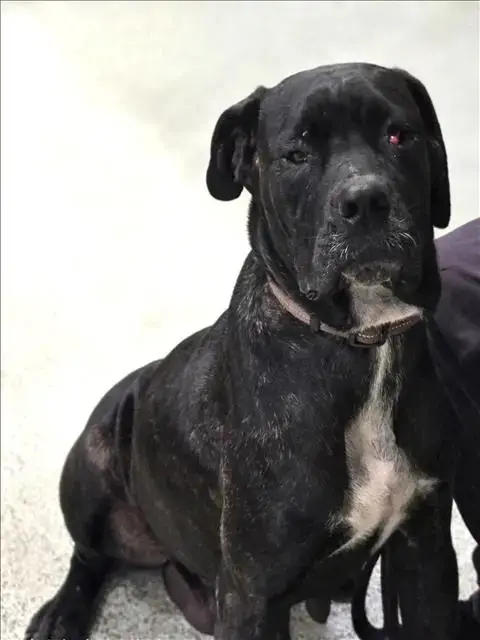 Luna