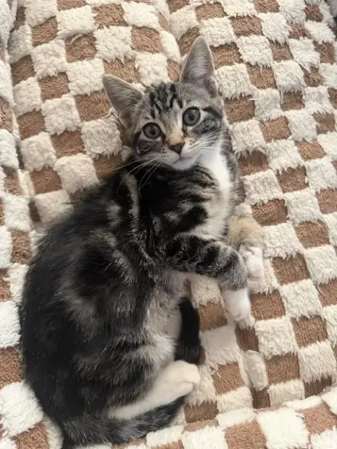 Marble