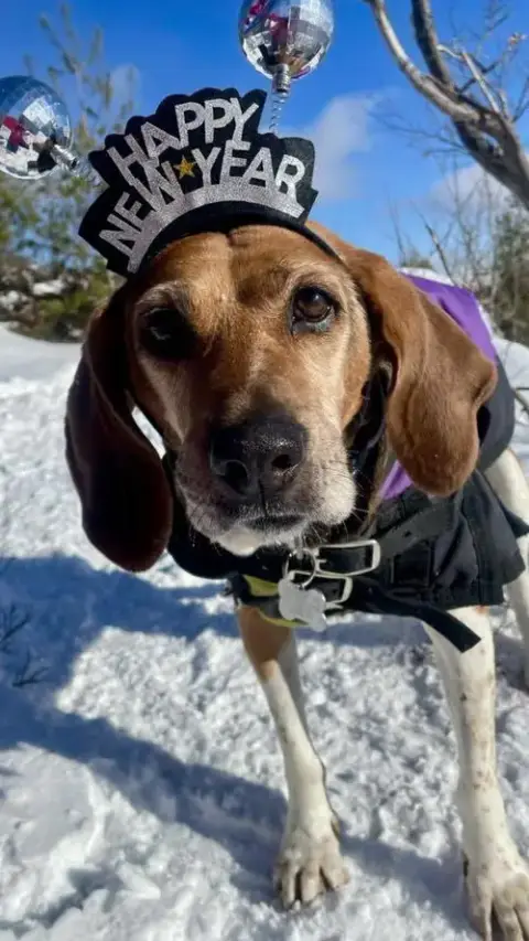 Molly photo 5