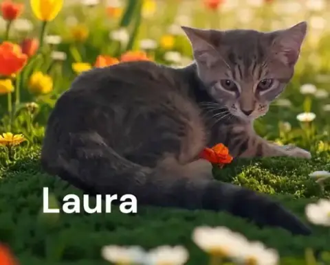Laura