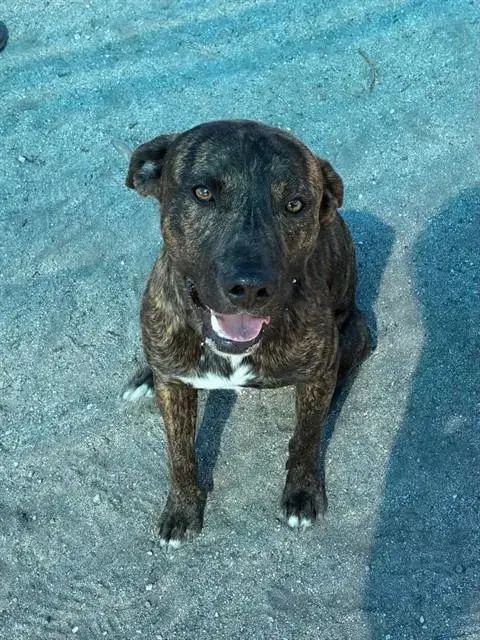 Charlie