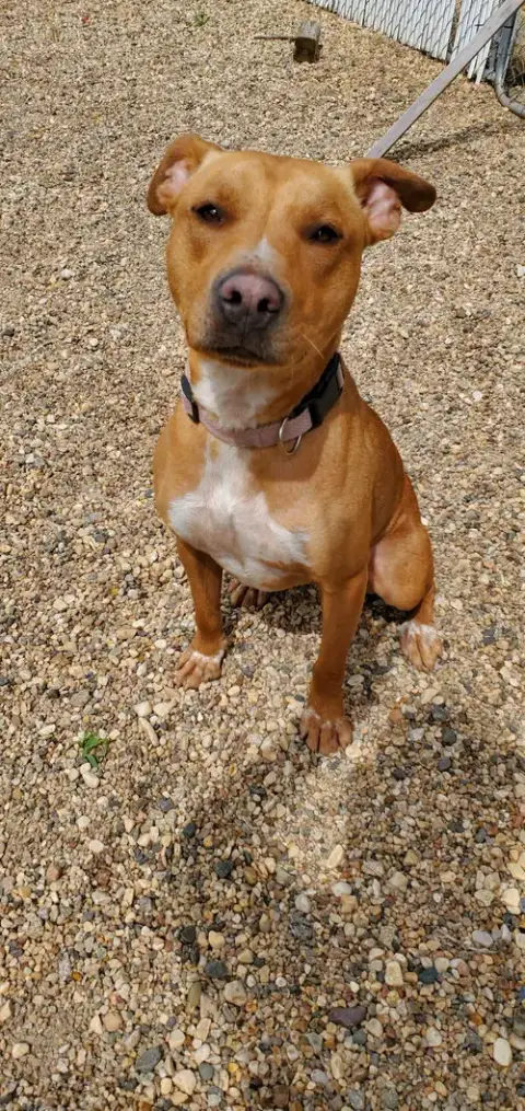 Rusty photo 3