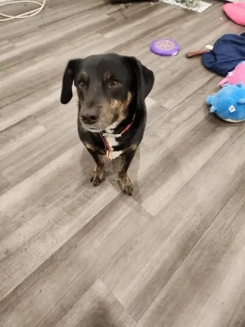 Max