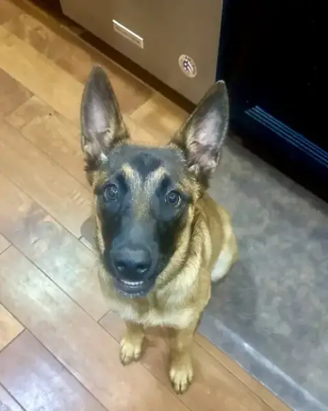 Kimchi