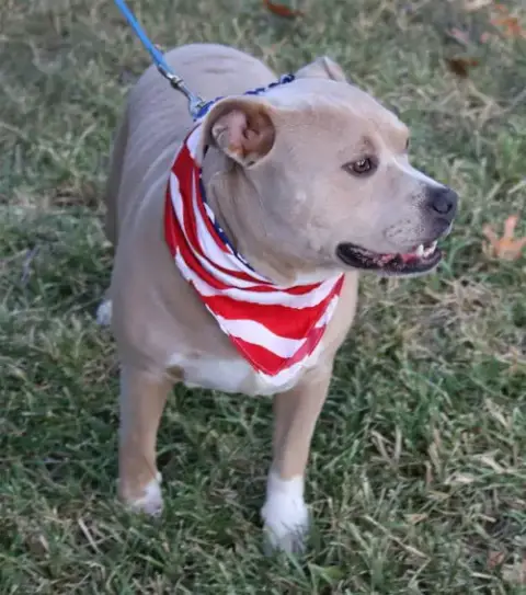 Tucker photo 2