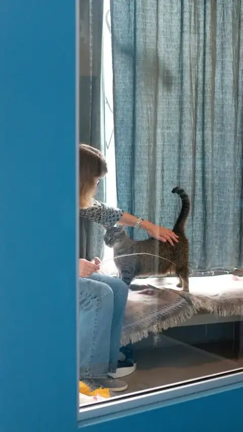 Pepita photo 4