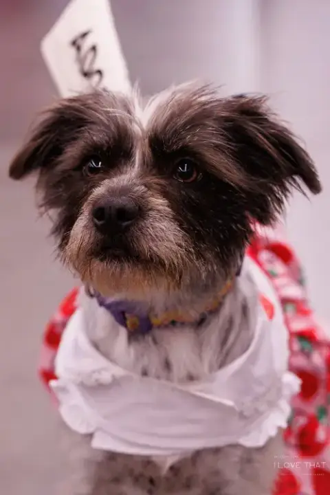 Missy photo 5