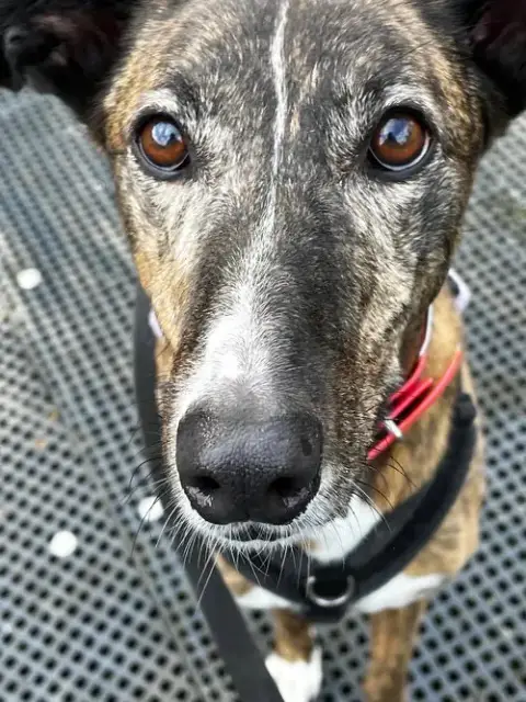 Annie photo 2