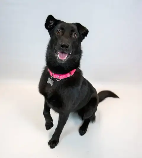 Fiona photo 3