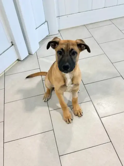 Samantha