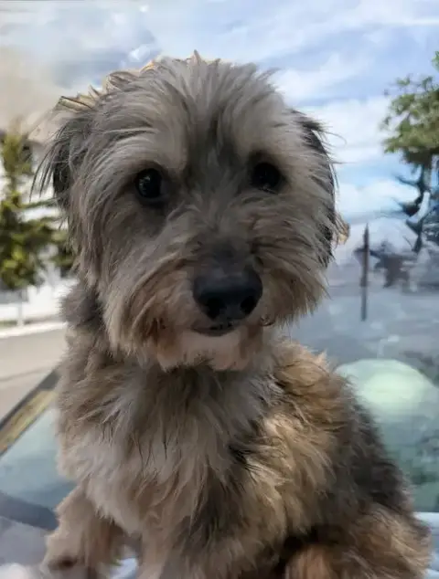 Emilio photo 2