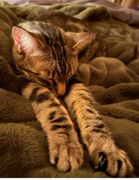 Poke`(Fiv Positive) photo 4