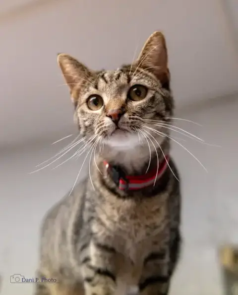 Stella Mae photo 2