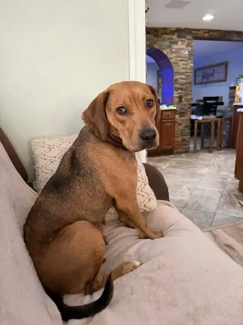 Mandy photo 2