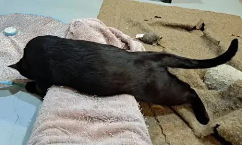 Winnie photo 3