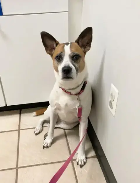 Lola