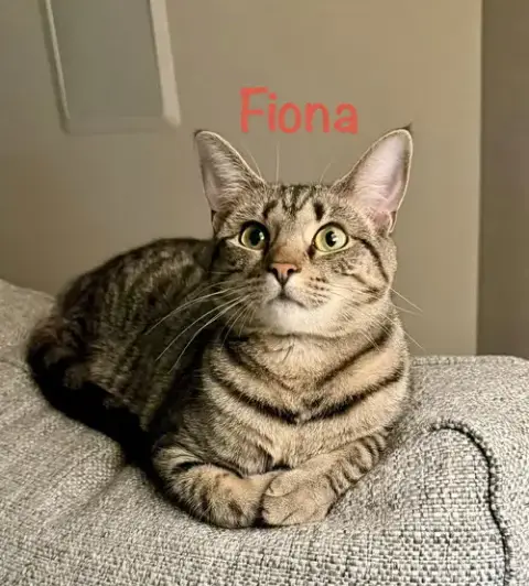 Fiona photo 5