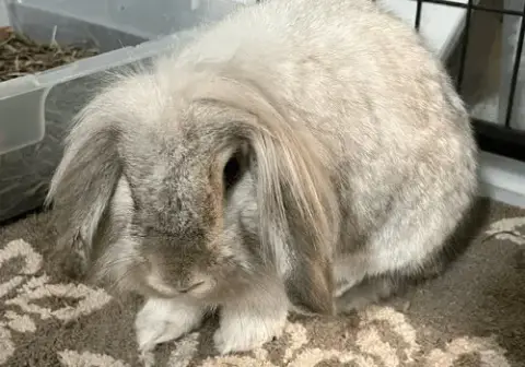 Odin And Khaleesi photo 3